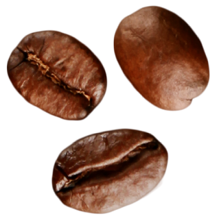 grains-3-interne 3 grains de café