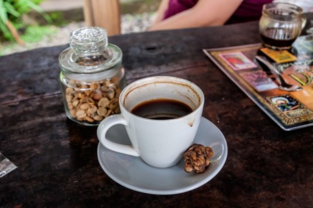 Kopi Luwak, café le plus cher du monde