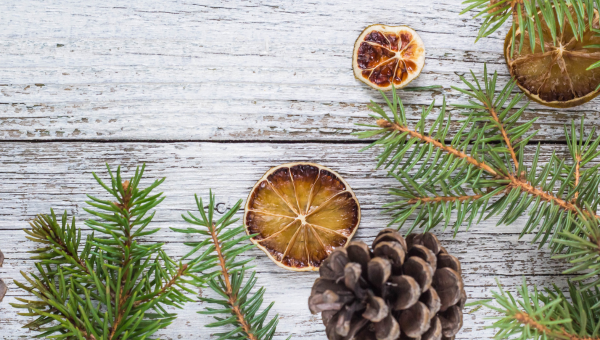 conseil diy de noël 1: éléments naturels