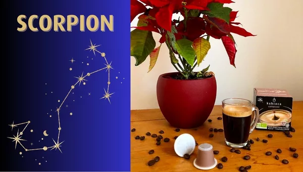 Astro café Kabioca - Scorpion - Double Espresso Fougueux