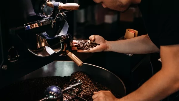 Café écologique - Du grain à la tasse