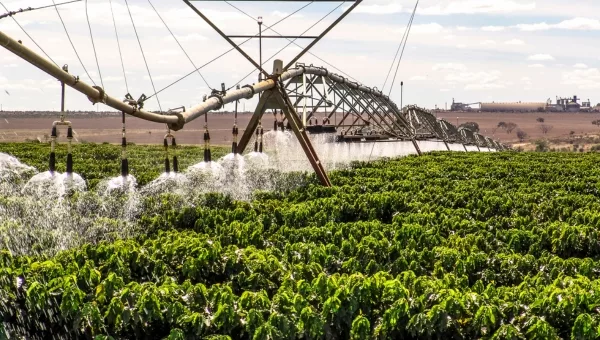 Le lien indissociable entre l'eau et la culture du café