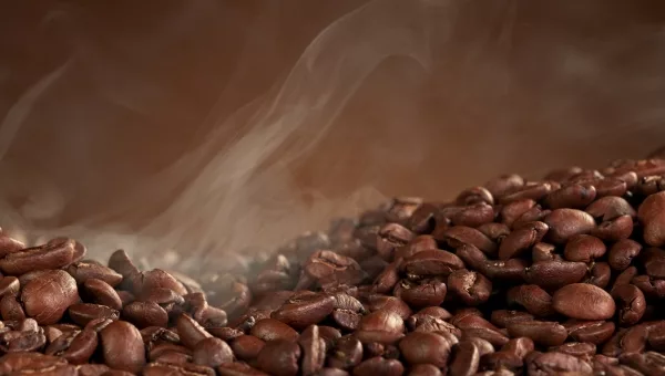 évaporation de l'eau lors de la torréfaction du café